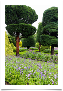 Topiary87 - Jackie Tucker